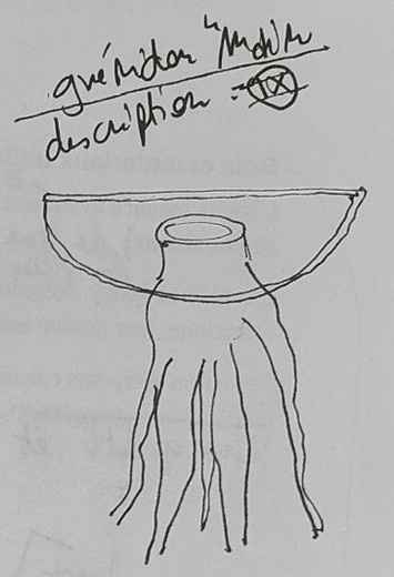 Croquis guéridon racine
