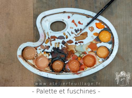 Palette et fuschines